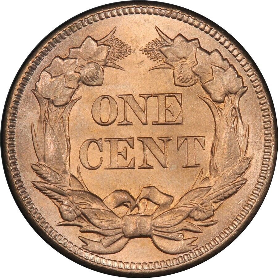 1858 Flying Eagle Large Letter Cent Back